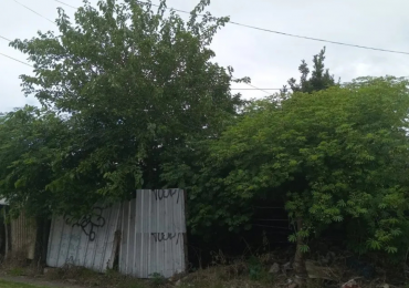 Lote De 11mts De Frente Y 40,18mts De Fondo